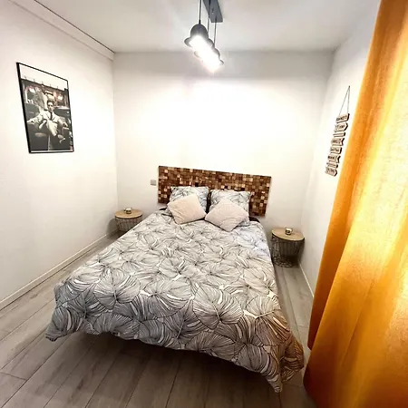 *chez Anissou 2* Apartment Colomiers